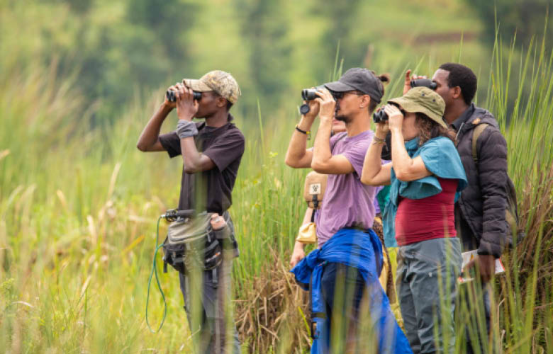 Uganda Rwanda birding safari in tropical forest