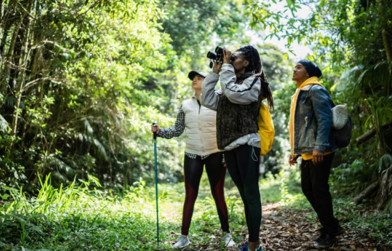 uganda rwanda birding safaris forest birdwatching