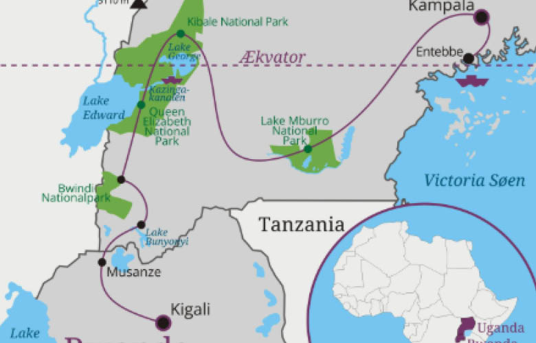 Uganda Rwanda cross-border safari journey