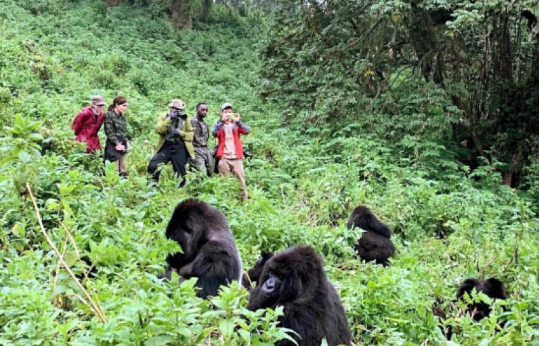 Uganda Rwanda gorilla safari across Bwindi and Volcanoes National Park