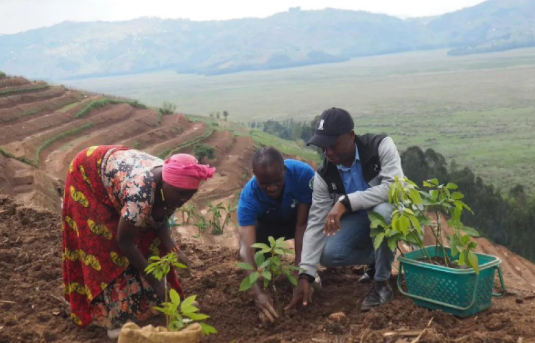Responsible Uganda & Rwanda Safari Activities supporting wildlife and conservation