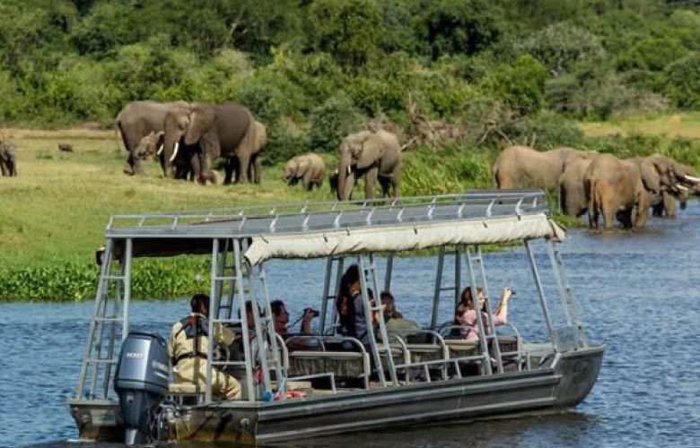 Uganda Rwanda wildlife safari in Murchison Falls