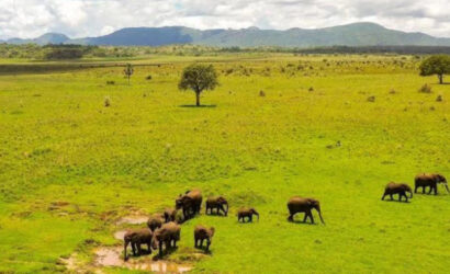 Uganda Safari Destinations with wildlife and scenic landscapes