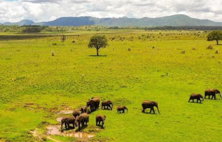 Uganda Safari Destinations with wildlife and scenic landscapes