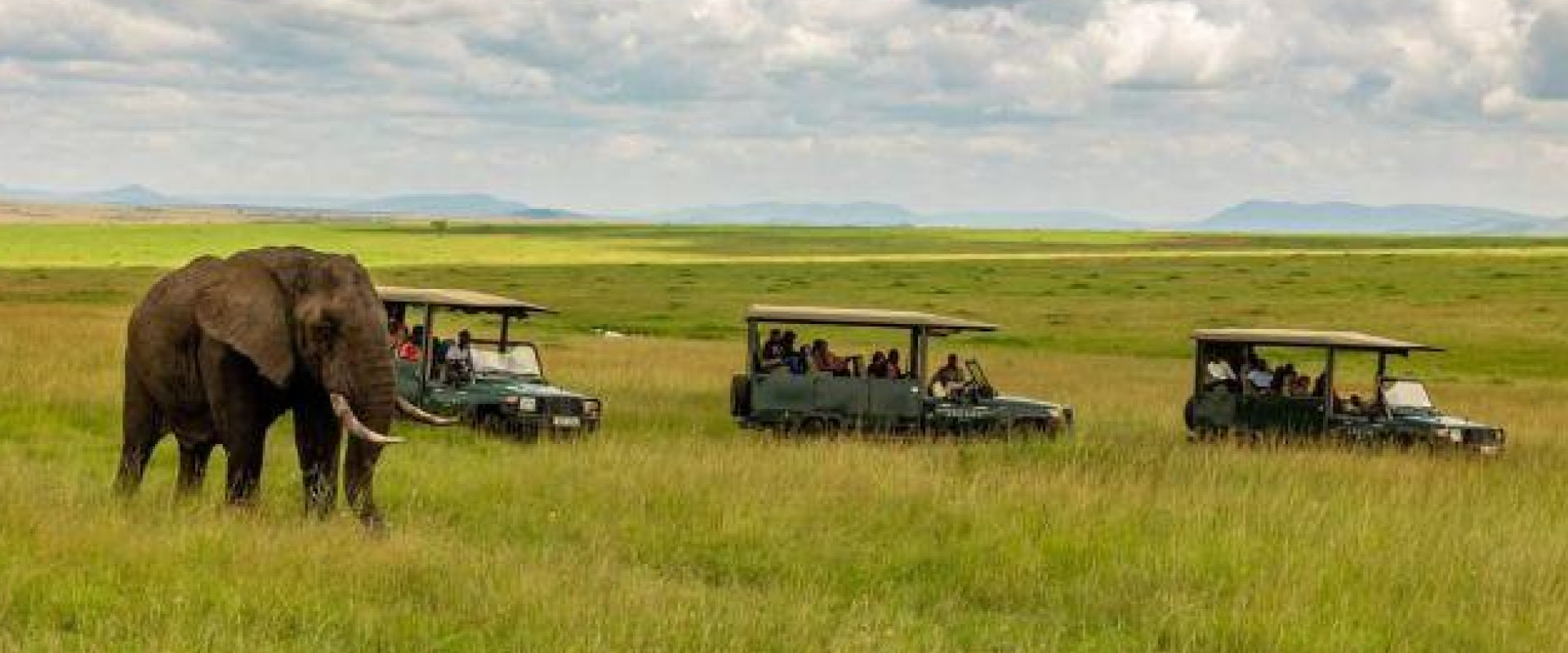 Uganda safari experiences with a safari vehicle viewing elephants in Uganda’s natural landscape