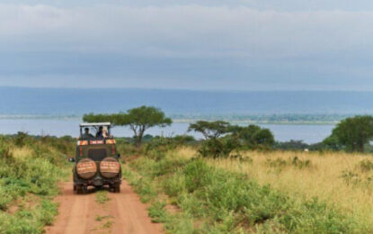 Uganda Safari Guide: How to Plan Your Trip