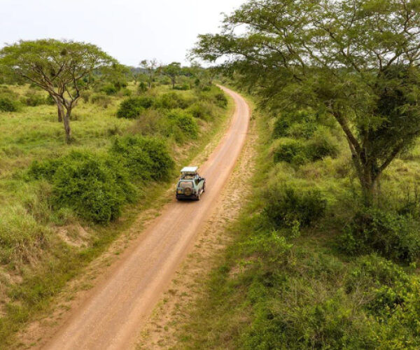 Uganda Safaris with wildlife and scenic landscapes