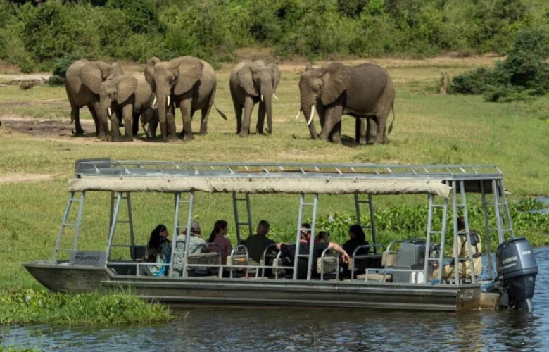 Uganda Wildlife Safaris with elephants along the Nile in Murchison Falls