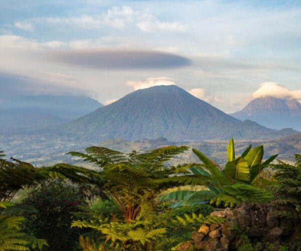 Virunga Volcanoes rising above the landscape of Volcanoes National Park in Rwanda