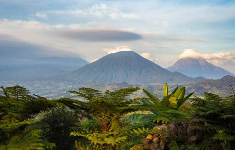 Virunga Volcanoes rising above the landscape of Volcanoes National Park in Rwanda