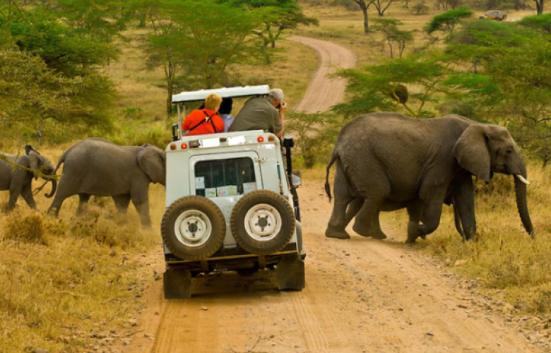 Wildlife Safaris in Uganda and Rwanda with game drives and wildlife viewing