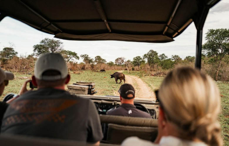 Wildlife Viewing on a Uganda Rwanda safari