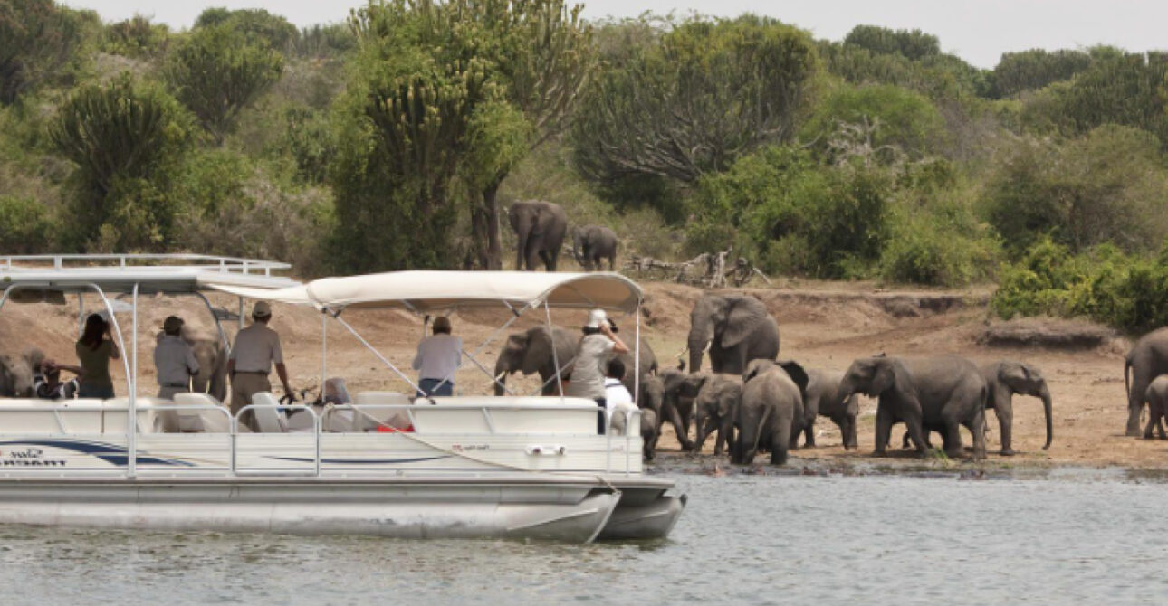 10-Day Uganda Safari at Kazinga Channel in Queen Elizabeth National Park