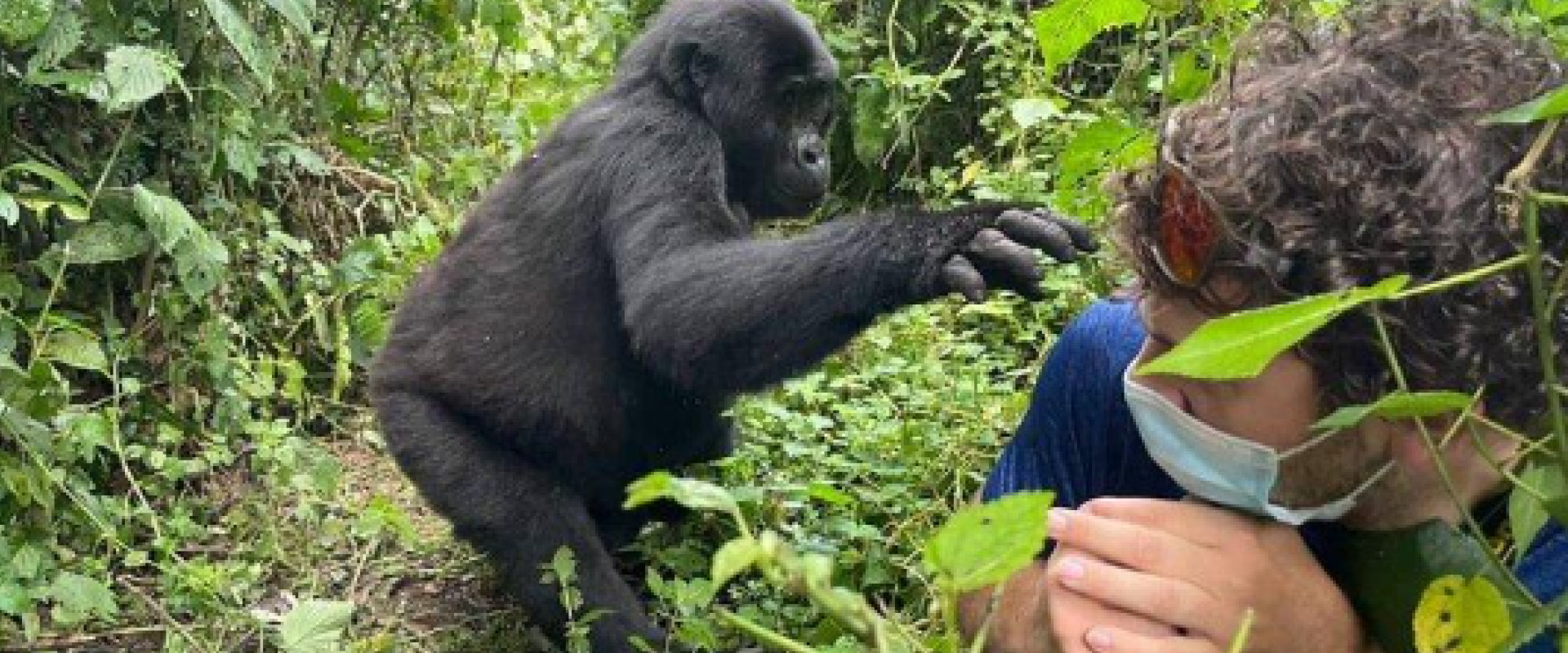 12 Days Uganda Safari with gorilla trekking in Bwindi