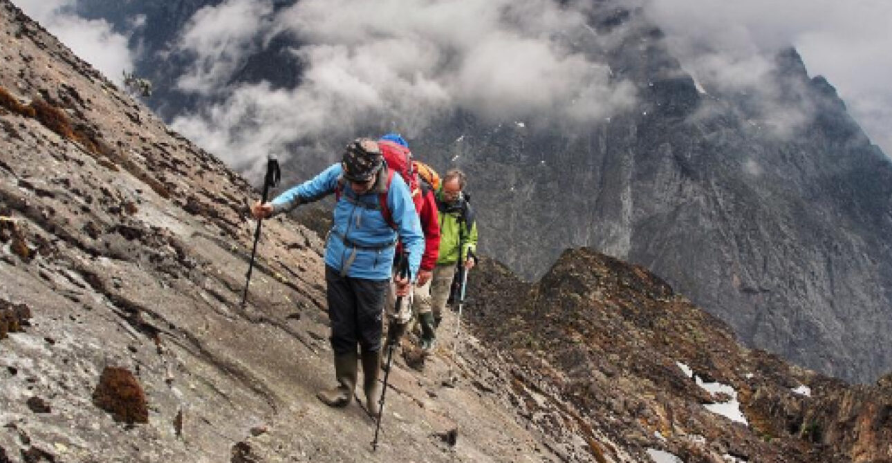 16-Day Uganda Safari Tour hiking in the Rwenzori Mountains Uganda