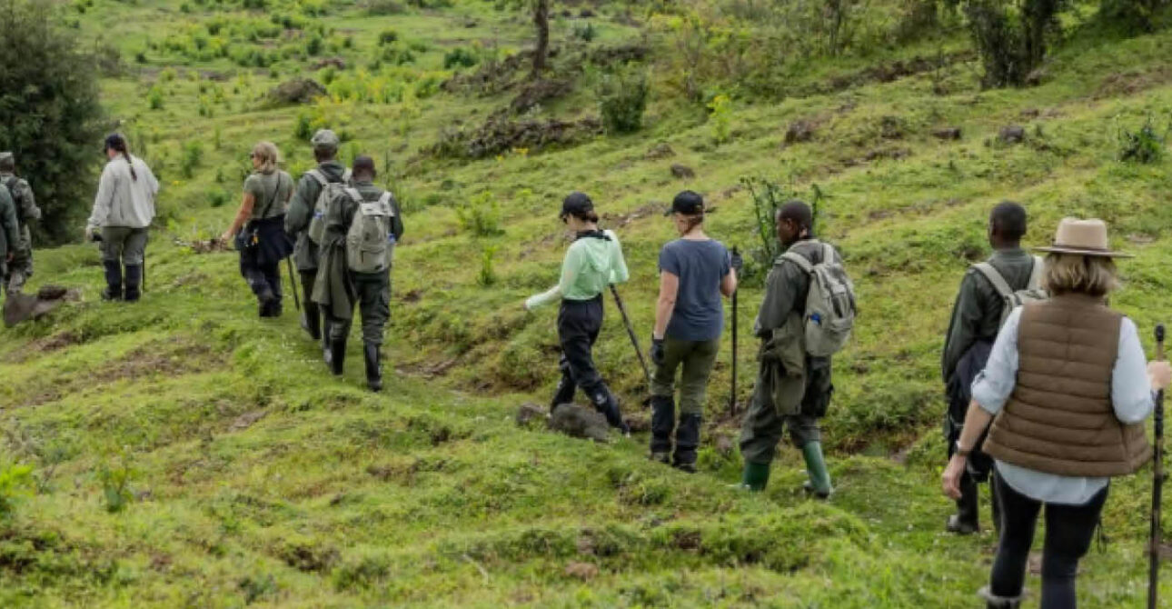 Travellers hiking with guides through a green mountain landscape