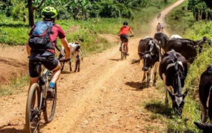 Adventure Activities in Uganda and Rwanda: A Traveller’s Guide