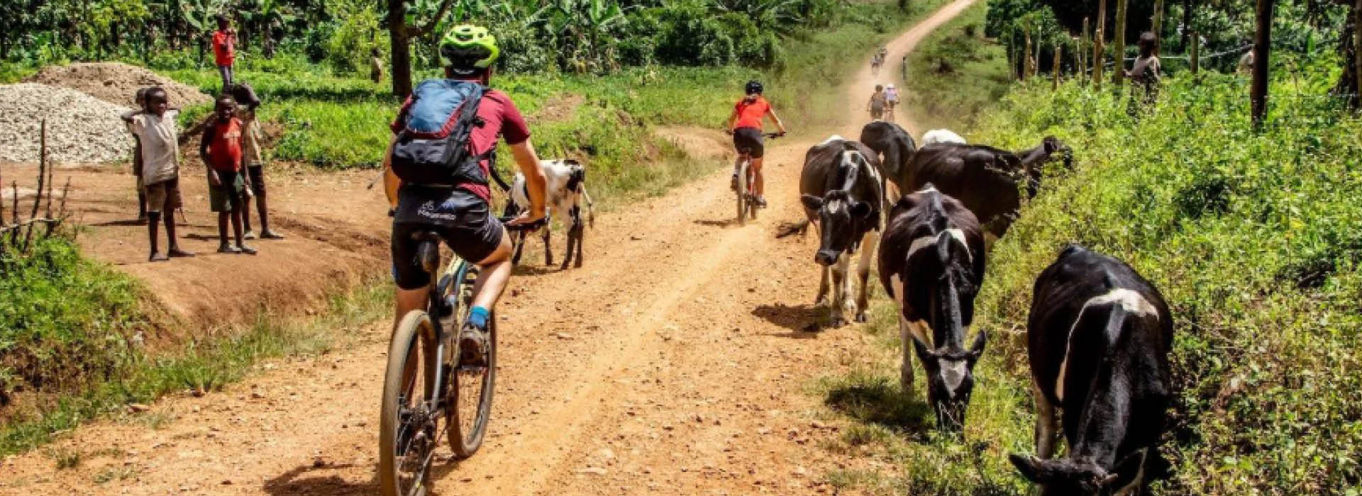 Cyclists riding along a rural road during an adventure experience in Uganda