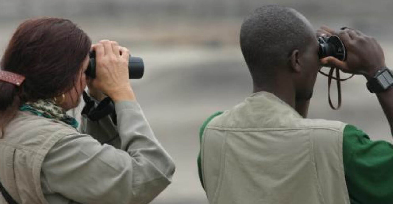 Bird Watching in Uganda – Guided Birding Safari
