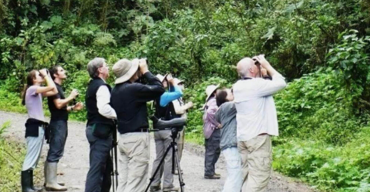 Bird watching in Uganda during a guided specialist birding experience