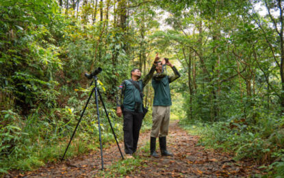 Birders exploring Nyungwe National Park during birding in Rwanda