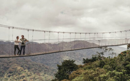 Travellers crossing a suspension bridge above a forest canopy