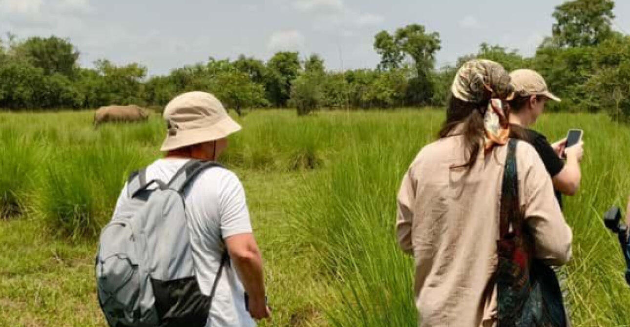 combining rhino tracking with other safari activities