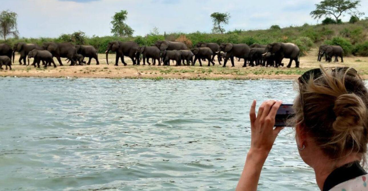 elephant encounter boat safari uganda