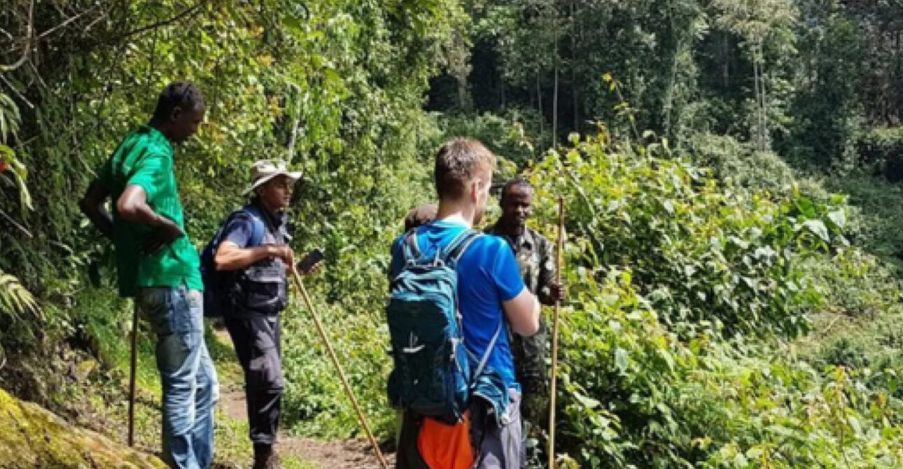 forest walk experience uganda rwanda