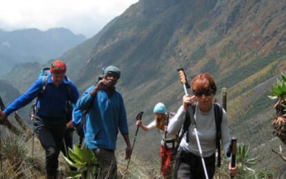 Travellers hiking on a mountain trail in the Rwenzori Mountains, Uganda