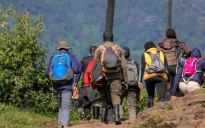 Hikers on a mountain trail during hiking adventures in Rwanda