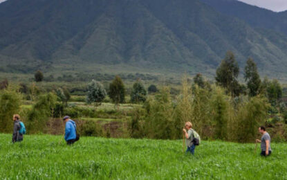 Nature Experiences in Uganda and Rwanda
