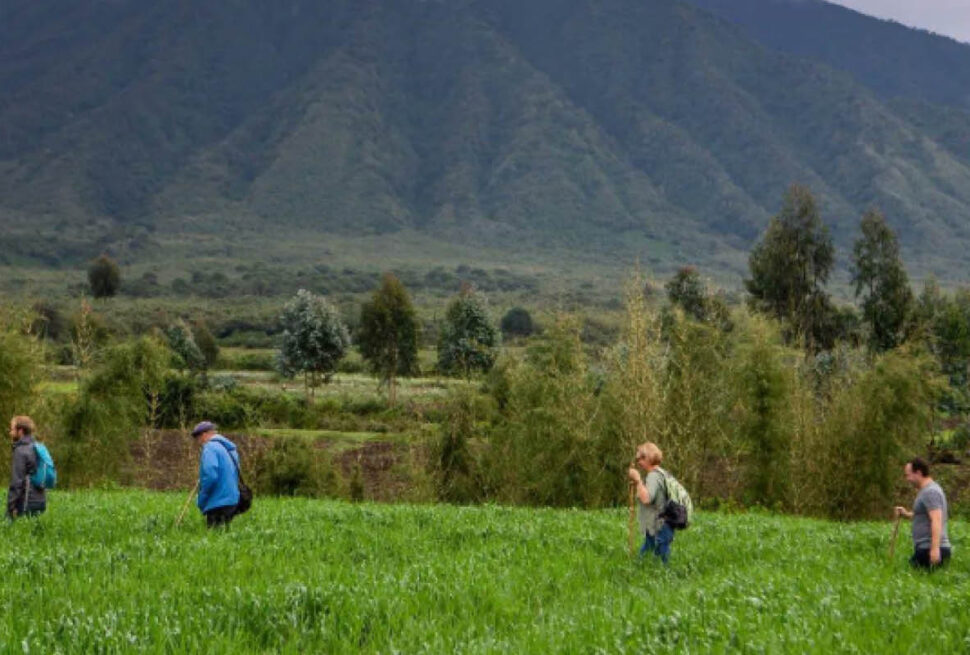Nature Experiences in Uganda and Rwanda with travellers exploring a forest and mountain landscape
