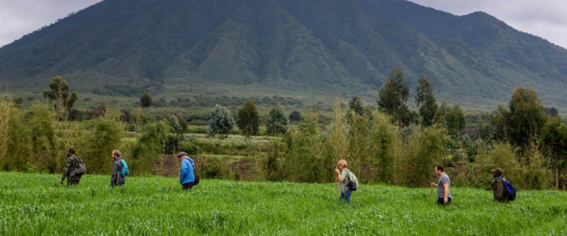 Nature Experiences in Uganda and Rwanda with travellers exploring a forest and mountain landscape