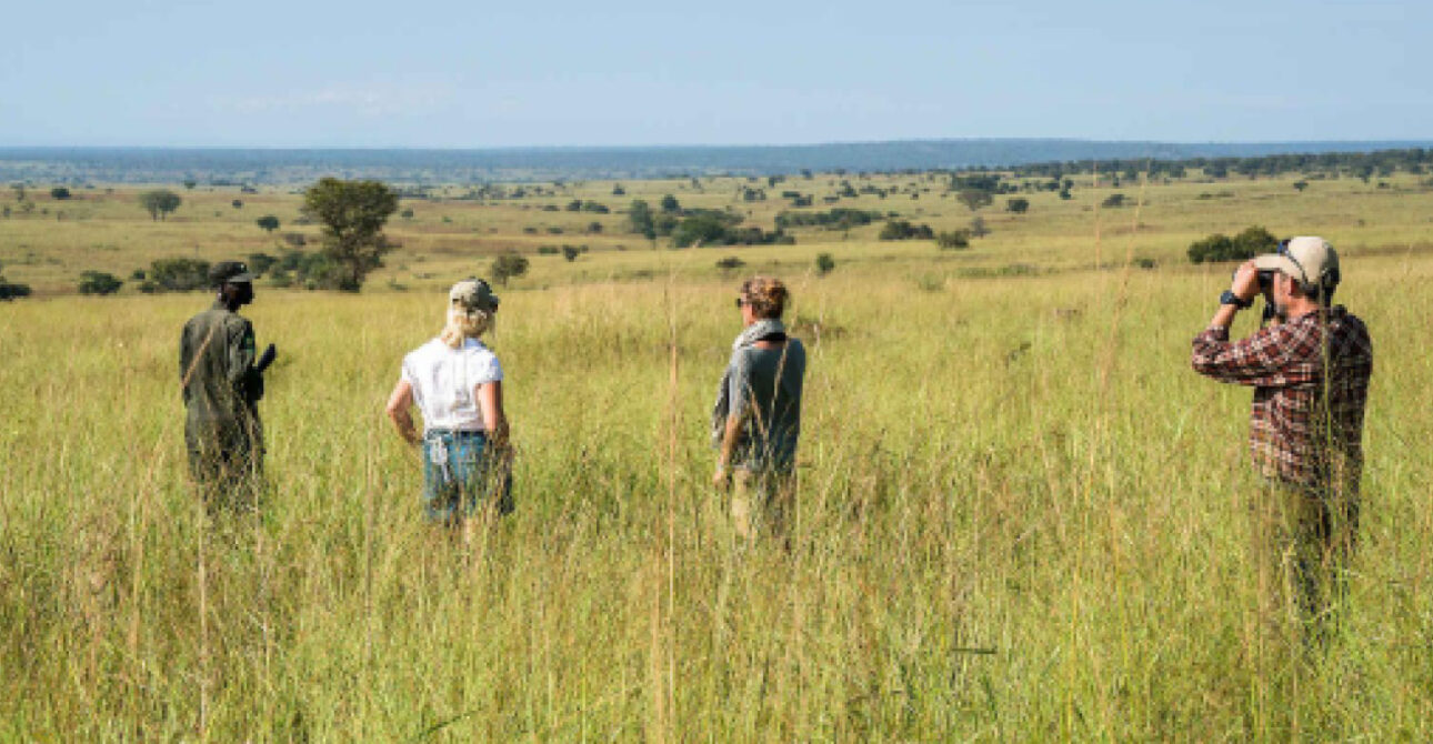 Travellers exploring a savannah landscape during a nature walk in Uganda