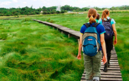 Travellers walking along a boardwalk through Semuliki wetland, Uganda