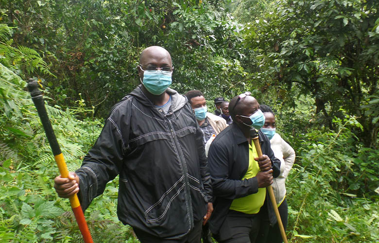 nsenga peter daniel gorilla trekking bwindi