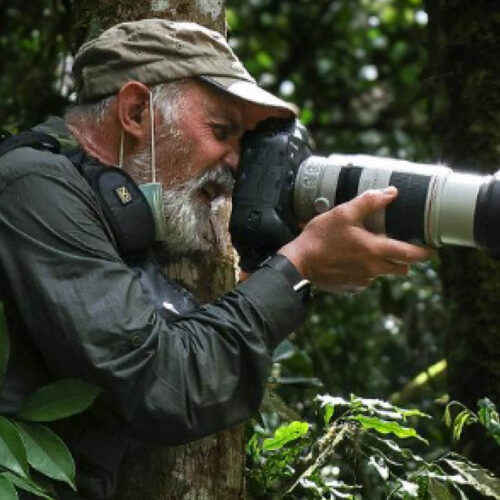 Photographer capturing wildlife from a safari vehicle in Uganda