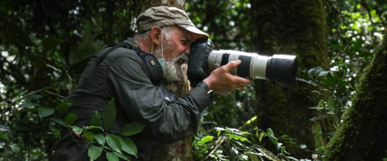 Photographer capturing wildlife from a safari vehicle in Uganda