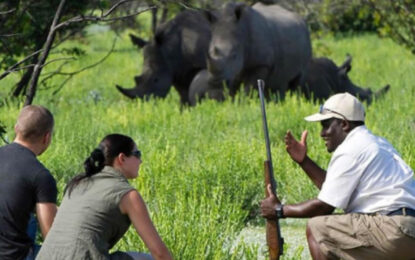Travellers during Rhino Tracking in Uganda and Rwanda