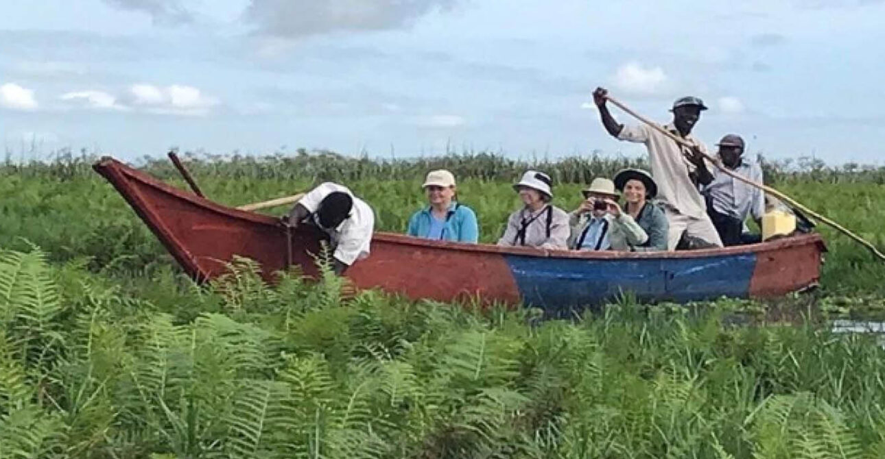 Shoebill tracking in Uganda from a canoe in a wetland