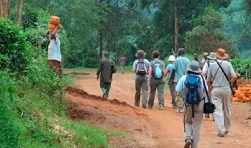 Travellers walking through a rural community during a village walk