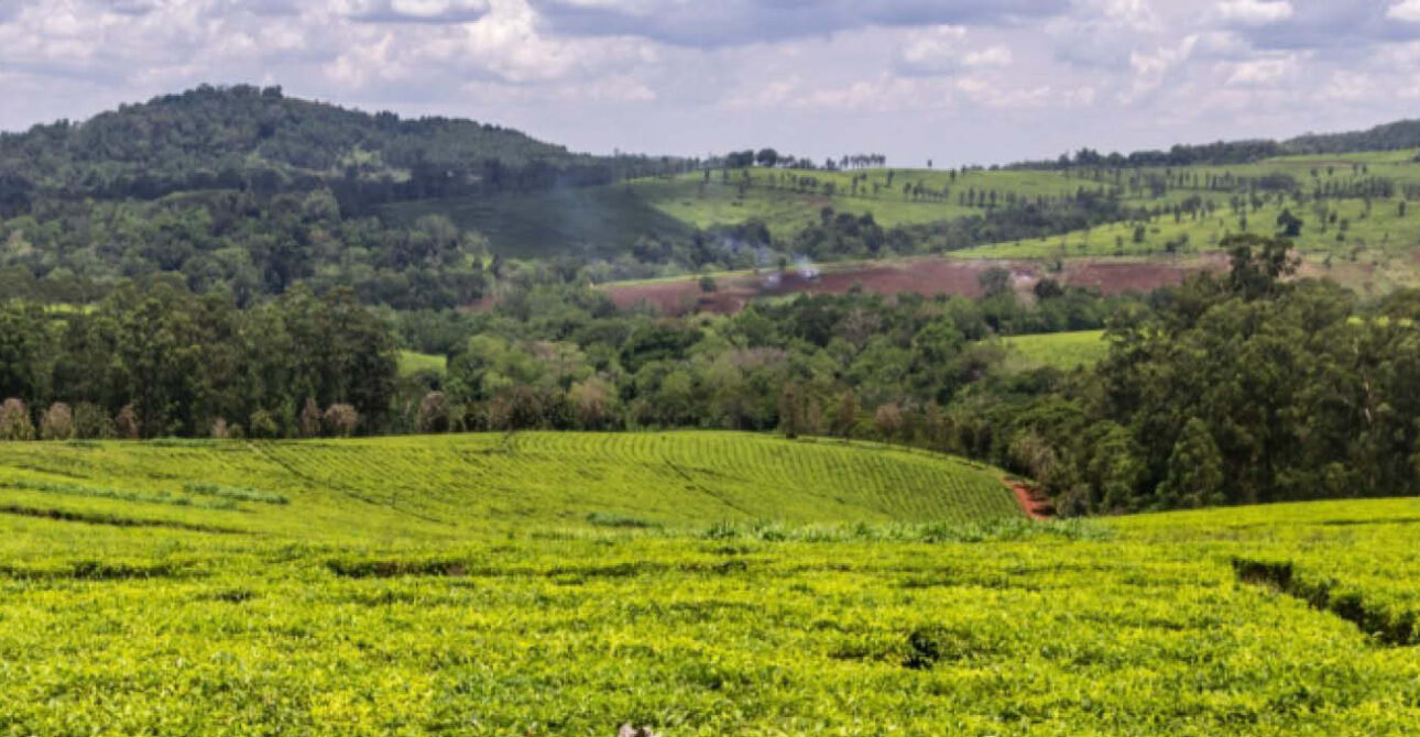 best time to visit tooro kingdom uganda