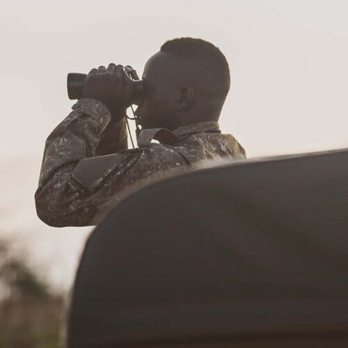 Bird watching in Uganda and Rwanda featuring a guide.