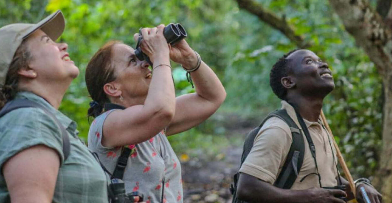 Birding safari with wildlife viewing in Uganda