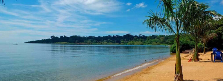 Lake Victoria shoreline within Entebbe Botanical Gardens in Entebbe, Uganda.