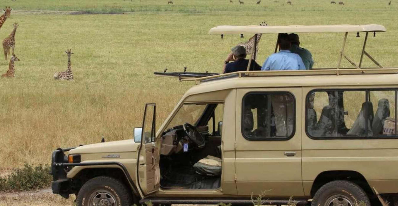 family safari wildlife experiences uganda rwanda