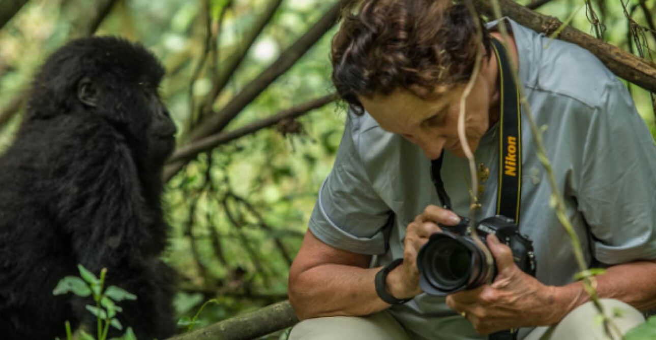 gorilla photography uganda