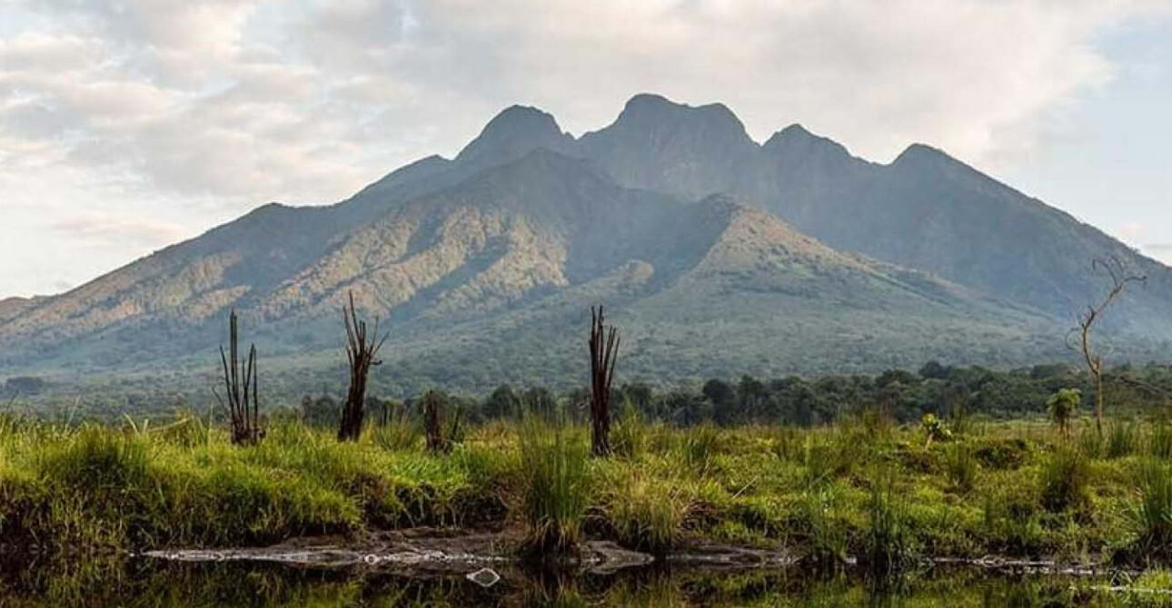 Volcanoes National Park landscape in Rwanda, home of mountain gorillas