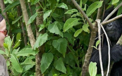 Gorilla Trekking in Uganda